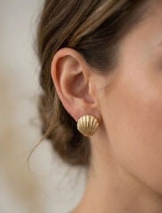 316L Çelik Gold Renk Deniz Kabuğu Model Kadın Küpe
