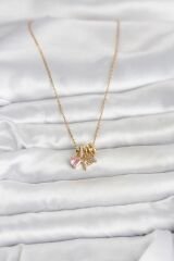 316L Çelik Gold Pembe Zirkon Taşlı Charmlı Kadın Kolye
